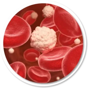 CONTROLAR O AÇUCAR NO SANGUE